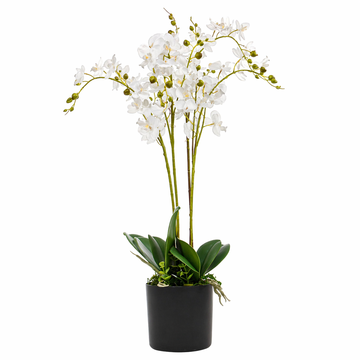 60cm  Design Uk Realistic Artificial Orchid Flower Display In Pot