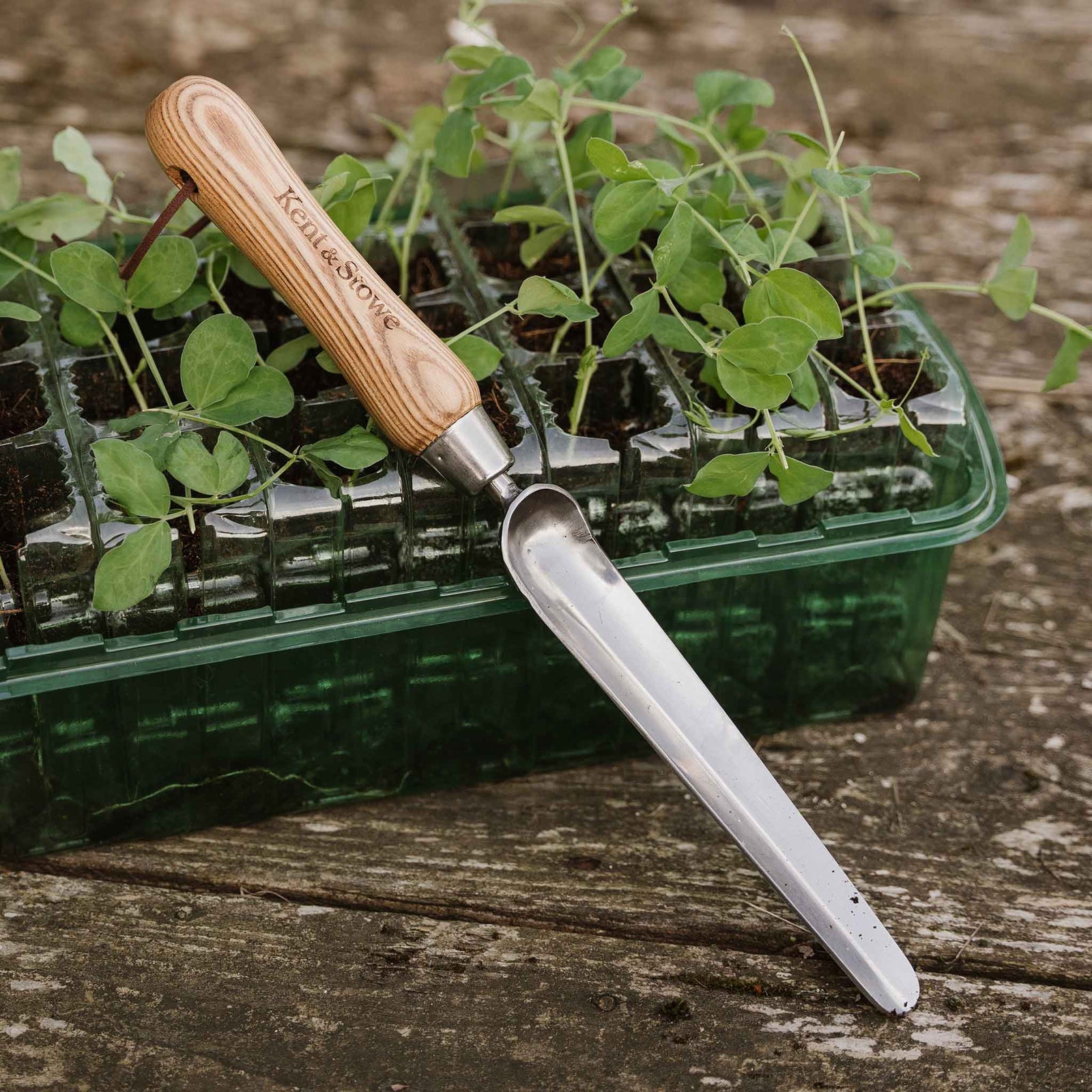 Stainless Steel Widger With Ash Handle