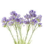 Pack Of 6 X 60cm Artificial Purple Starflower Stem 30 Flowers