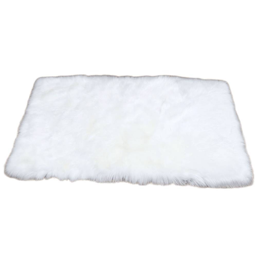 Rectangular Fluffy Shaggy Area Rug White Super Soft Plush Carpet For Bedroom | Large | White