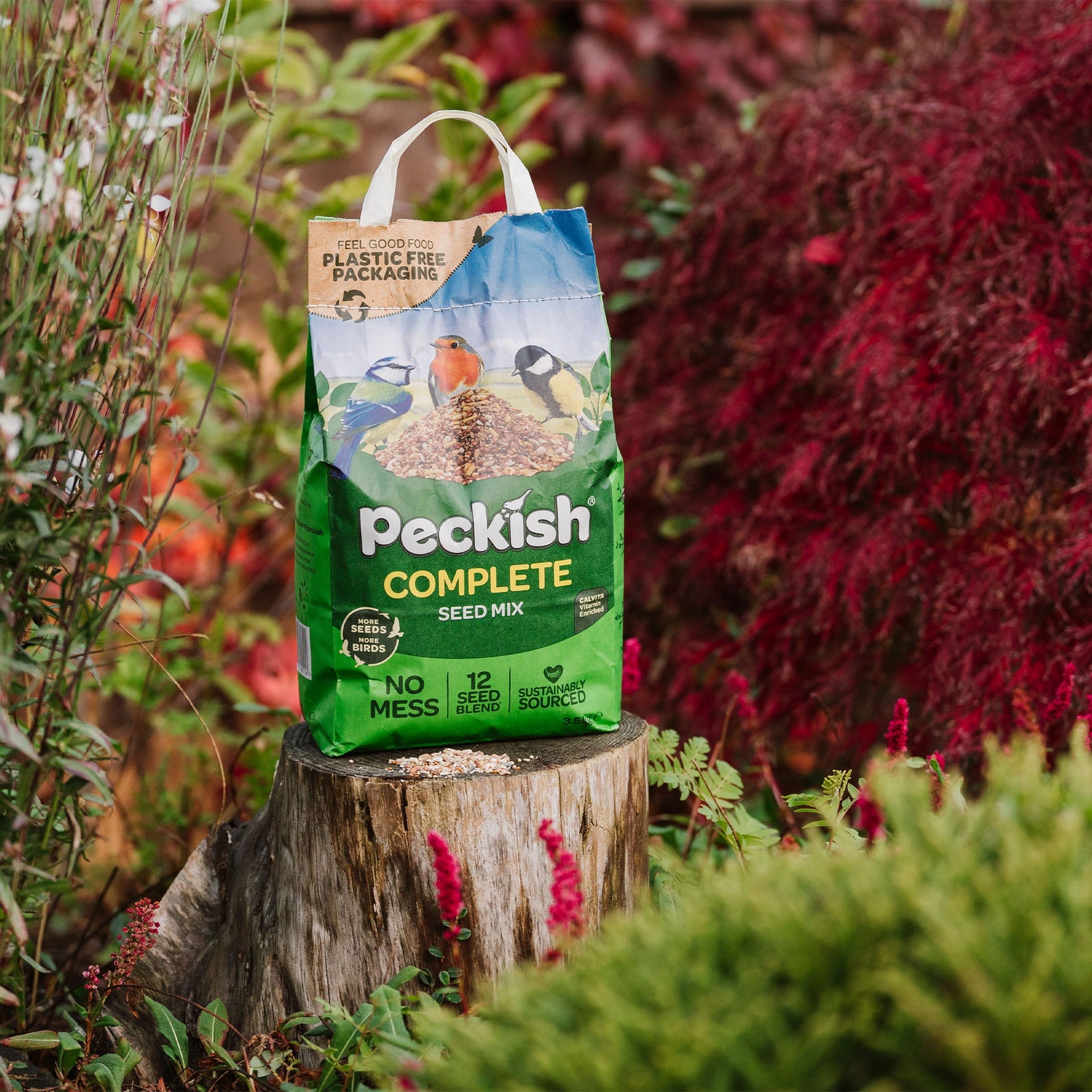 Complete Seed Mix 3.5kg, Husk-free, 100% Edible | 3.5kg