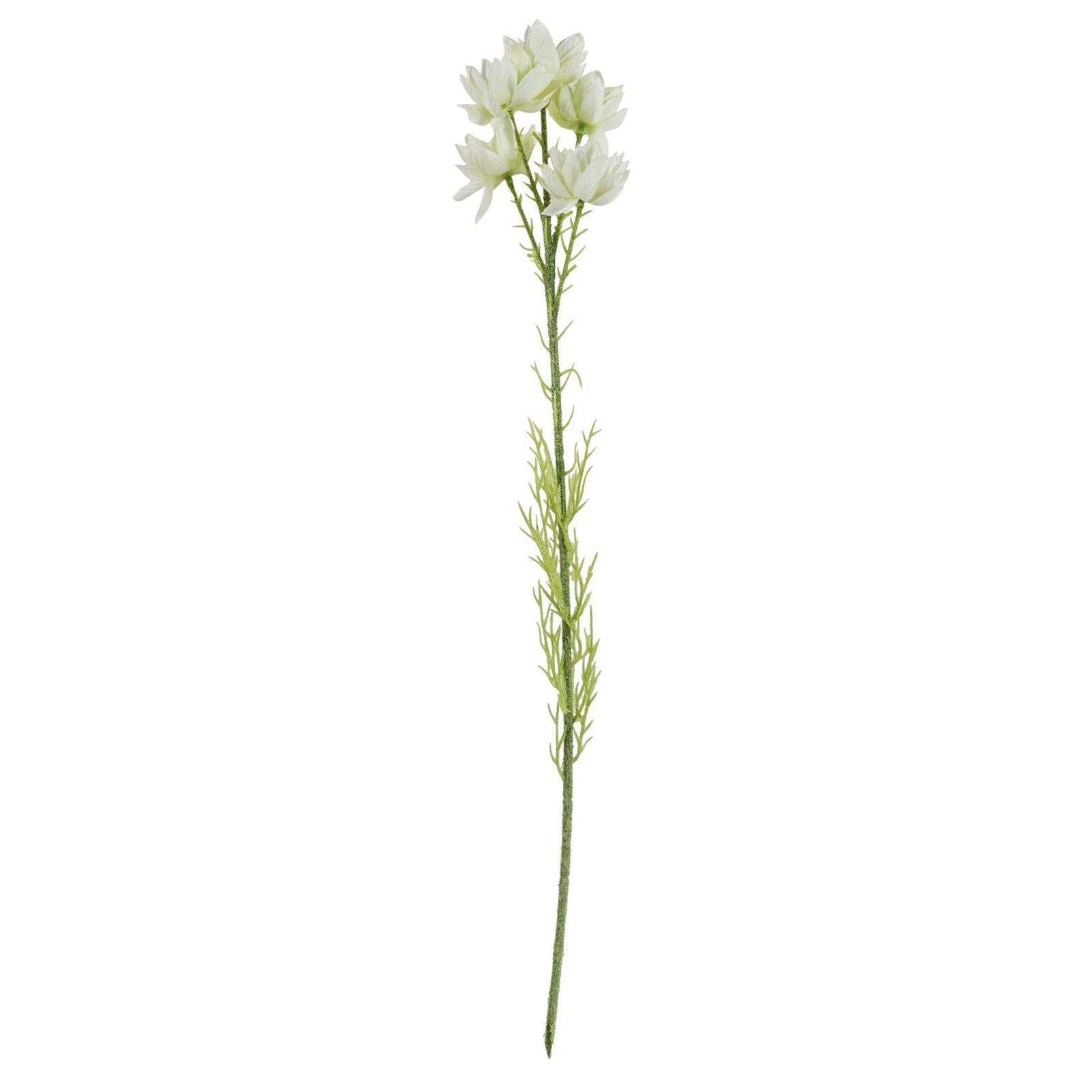 75cm White Starflower Display Ombre Glass Vase