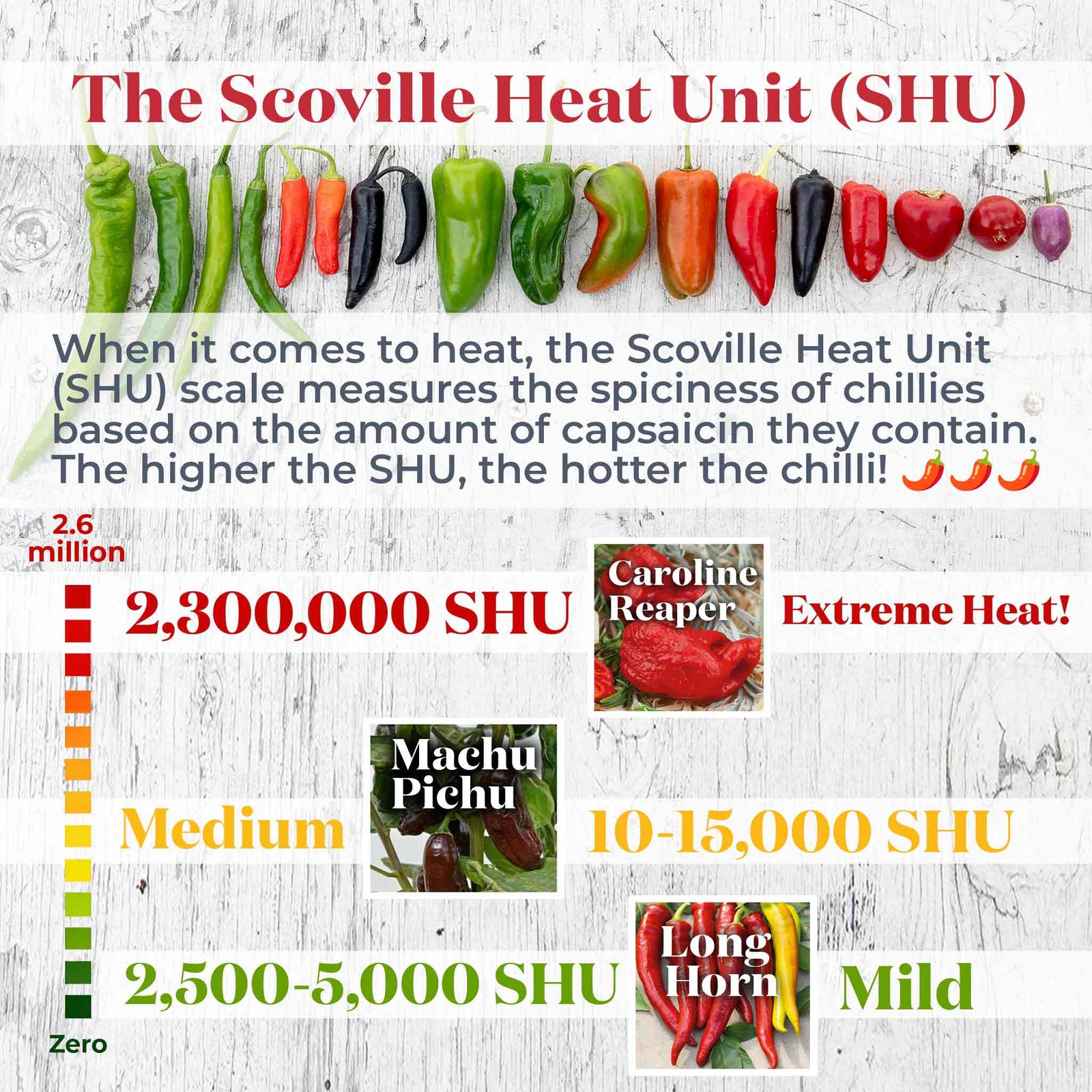 Chilli Flavour Collection Hot, Mild And Smoky | 6 x 9cm | Multi