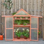 80x47x138cm Wooden Cold Frame Greenhouse