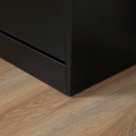 Two Drawer Shoe Storage Cabinet For 12 Pairs