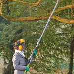 Thompson & Morgan Corded Pole Chainsaw