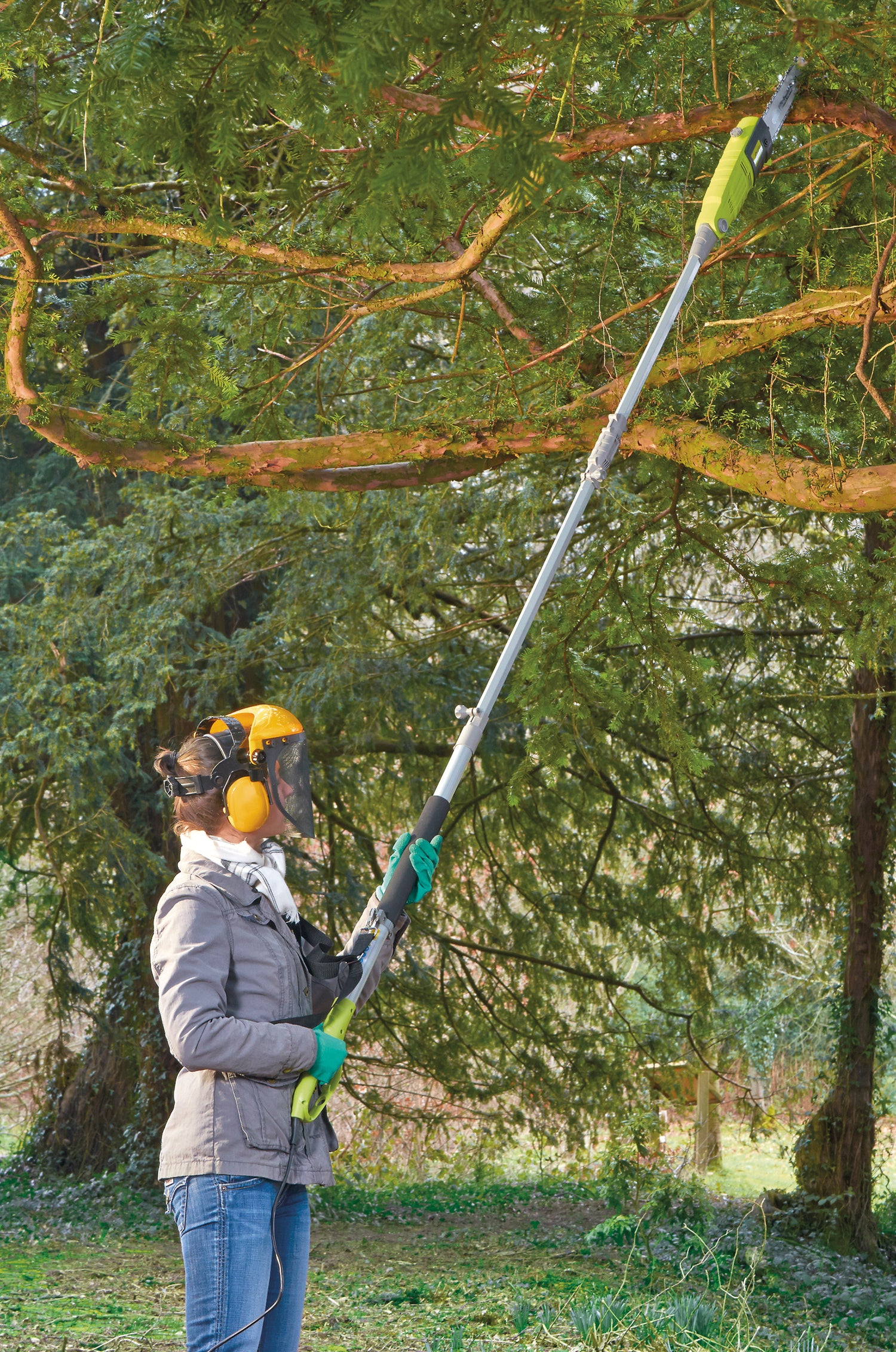 Thompson & Morgan Corded Pole Chainsaw