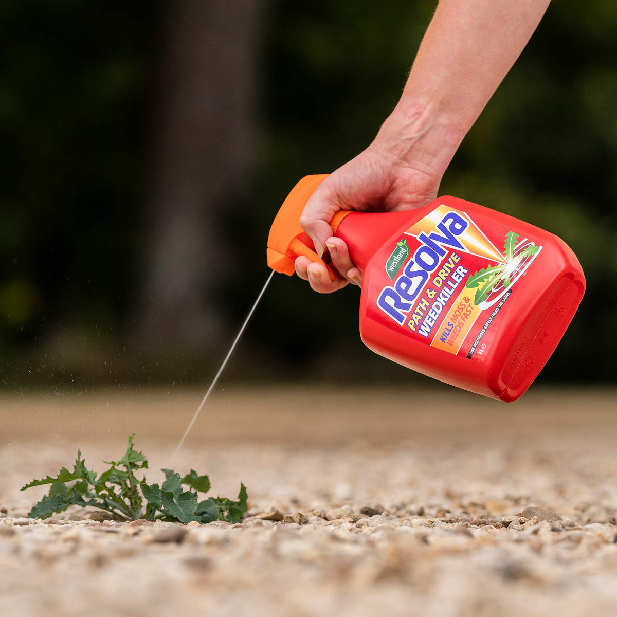 Moss Killer & Path And Drive Weed Killer | Set of 2