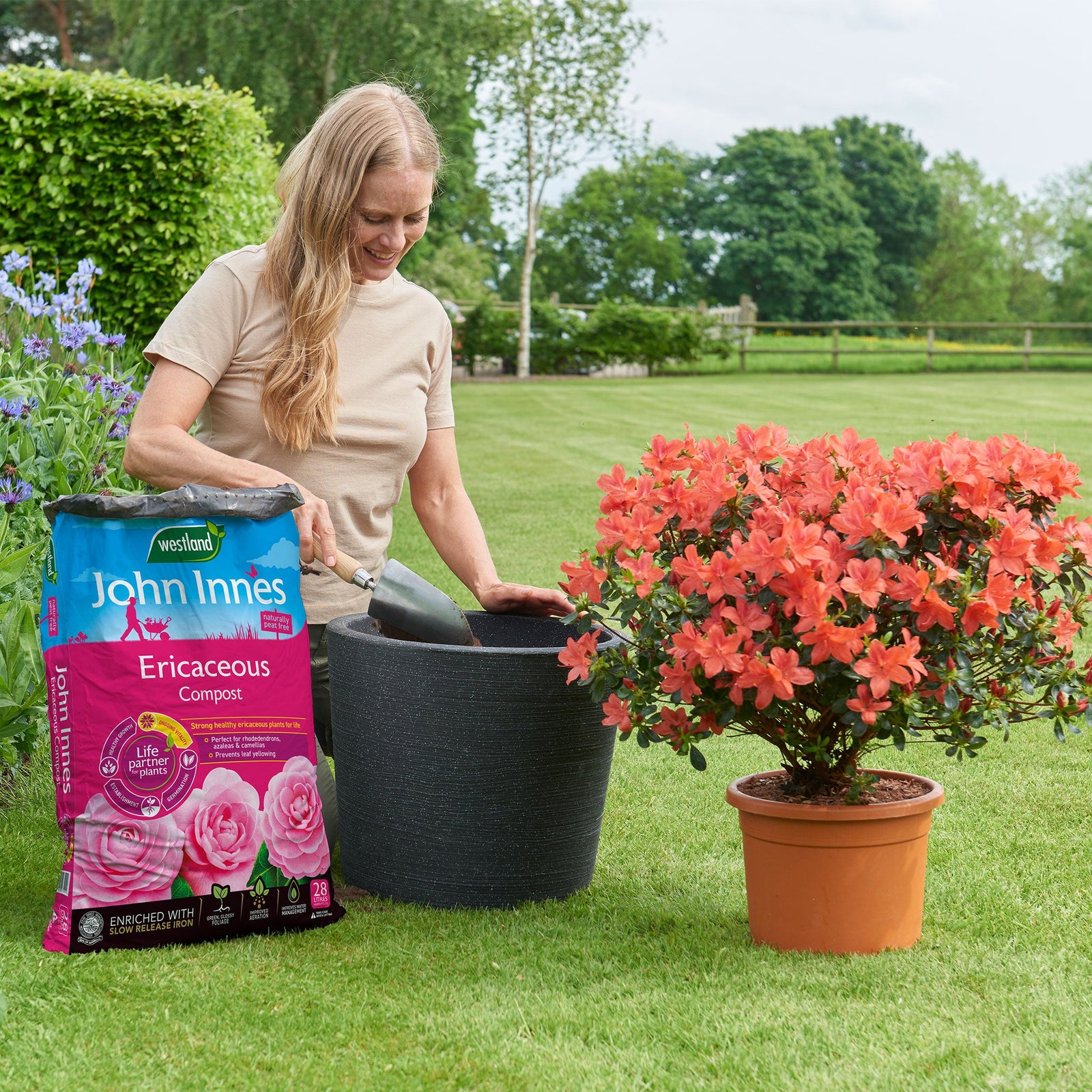 John Innes Peat-free Ericaceous Compost | 28l