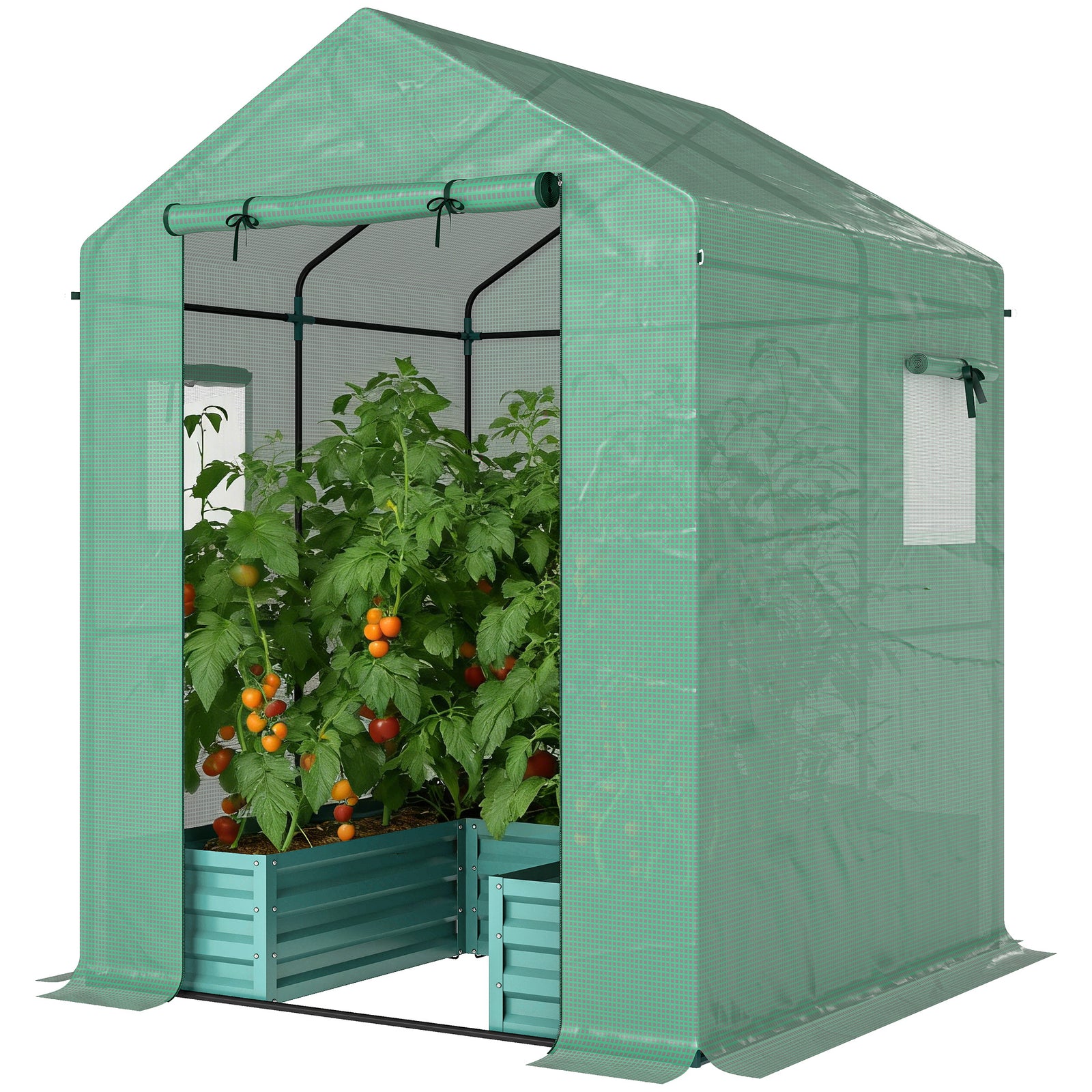 Small Greenhouse Outdoor Greenhouse With Roll Up Door | Green