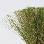 Mexican Feather Grass - Stipa Tenuifolia 'Pony Tails' - H20-30cm - ⌀9cm | Set of 9 | Green