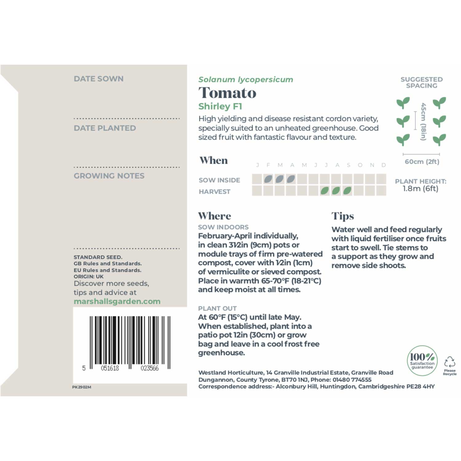Cordon Tomato Shirley F1 Seeds | 20 Seeds