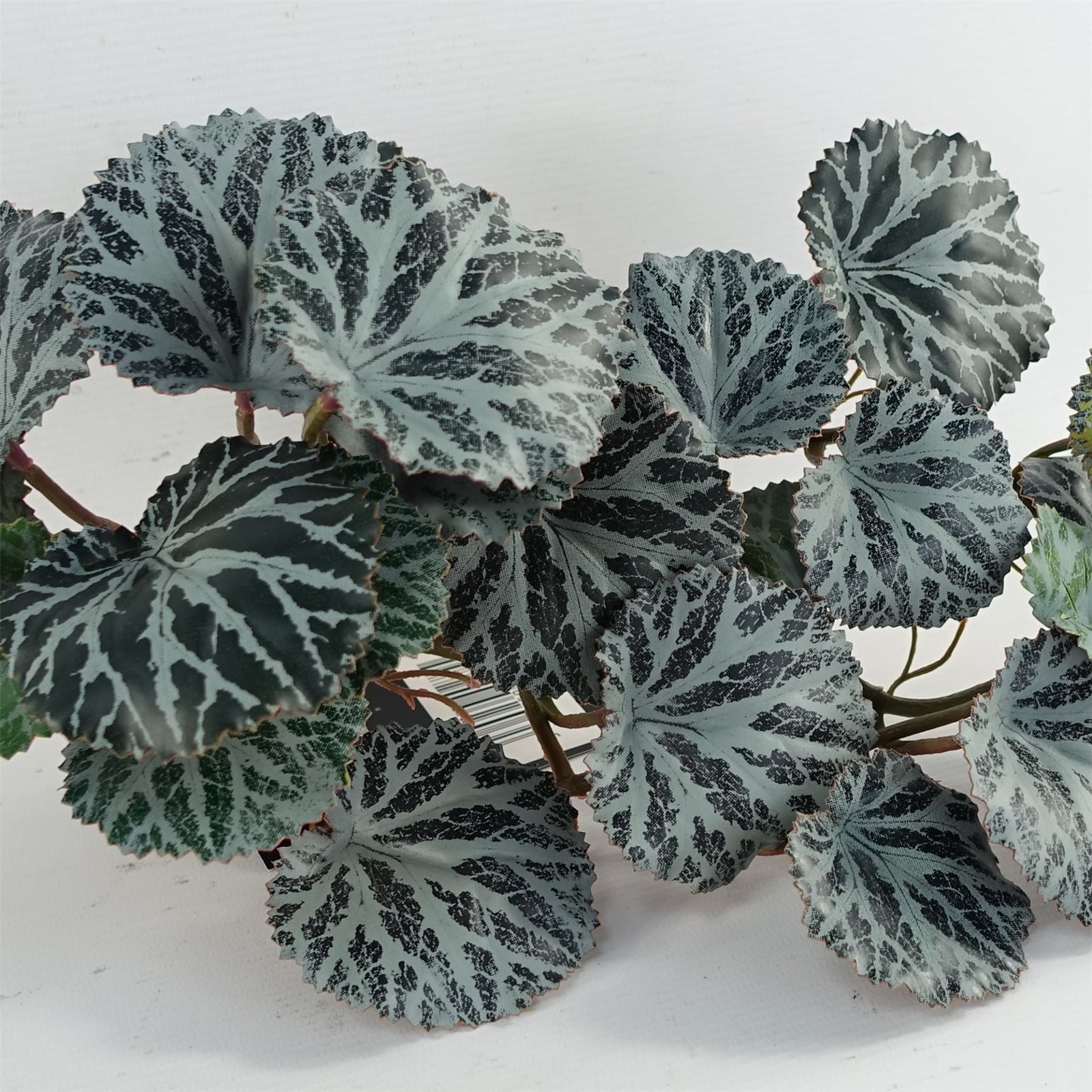 6 X 50cm Artificial Begonia Trailing  Plant