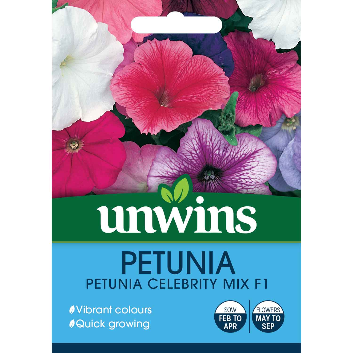 Petunia Celebrity Mix Seeds | 70 Seeds