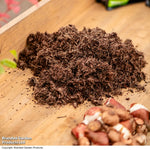 Thompson & Morgan Incredi Peatfree Premium Bulb Compost 40 Litre Bag X 1