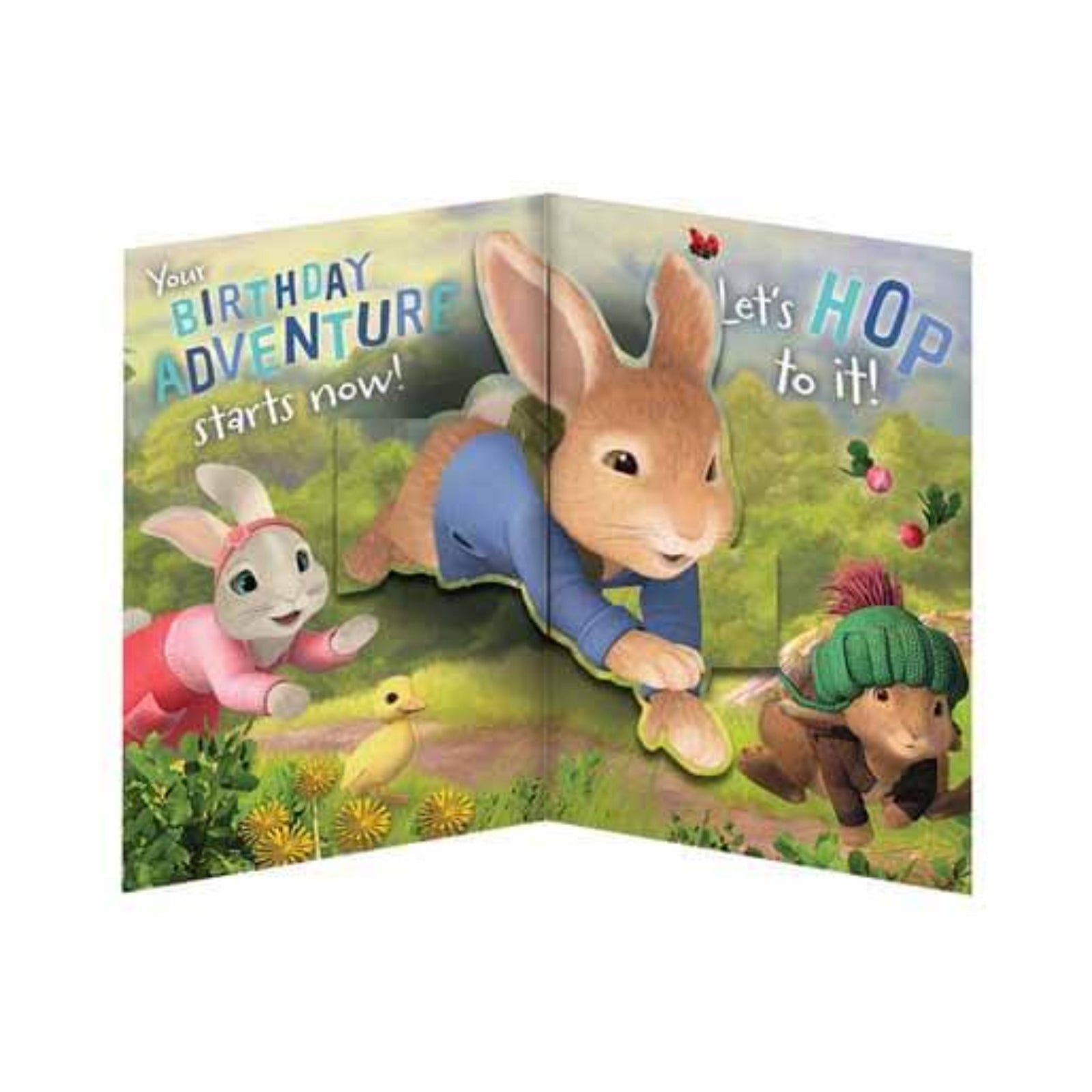 Peter Rabbit Son Pop-up Birthday Card Official Product