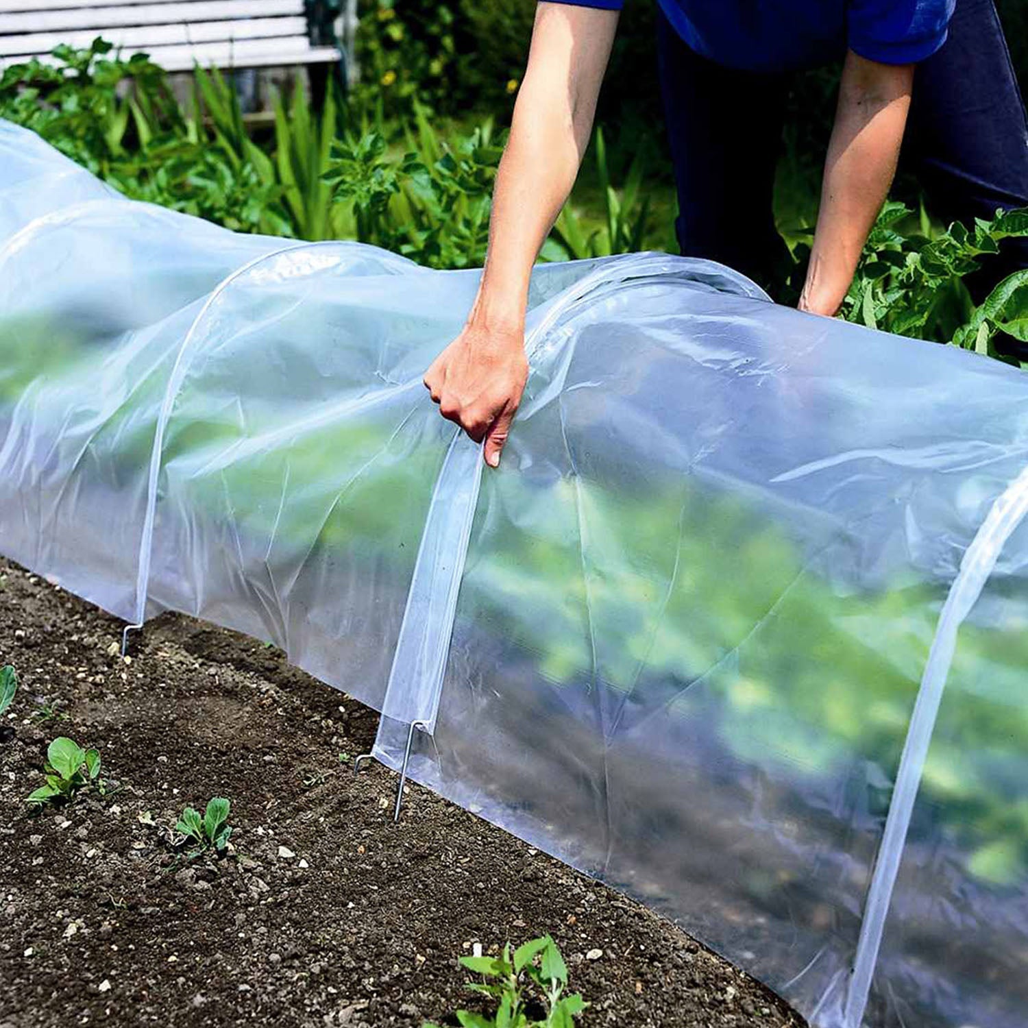 Standard Easy Poly Tunnel 3m Heavy-duty Polyethylene Cover | Clear