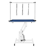White Hydraulic Grooming Table | Blue
