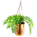 Copper Hanging Planter 18 X 22cm