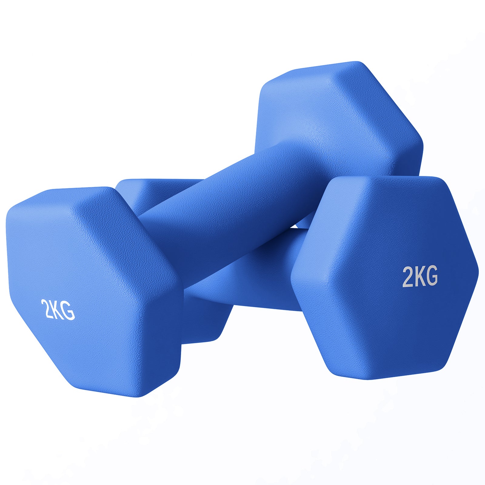Set Of 2 Hexagonal Dumbbells Weights Pair | Medium | Blue