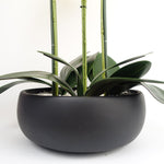 Artificial 60cm Orchid Yellow Black Ceramic Planter