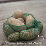 Seed Potato Small Plot Collection  (nicola, Red Duke Of York, King Edward) | Set of 1 | Multi