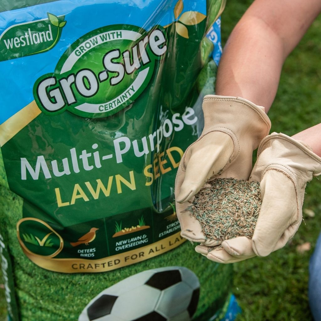 Multi-purpose Lawn Seed 50m2 Box