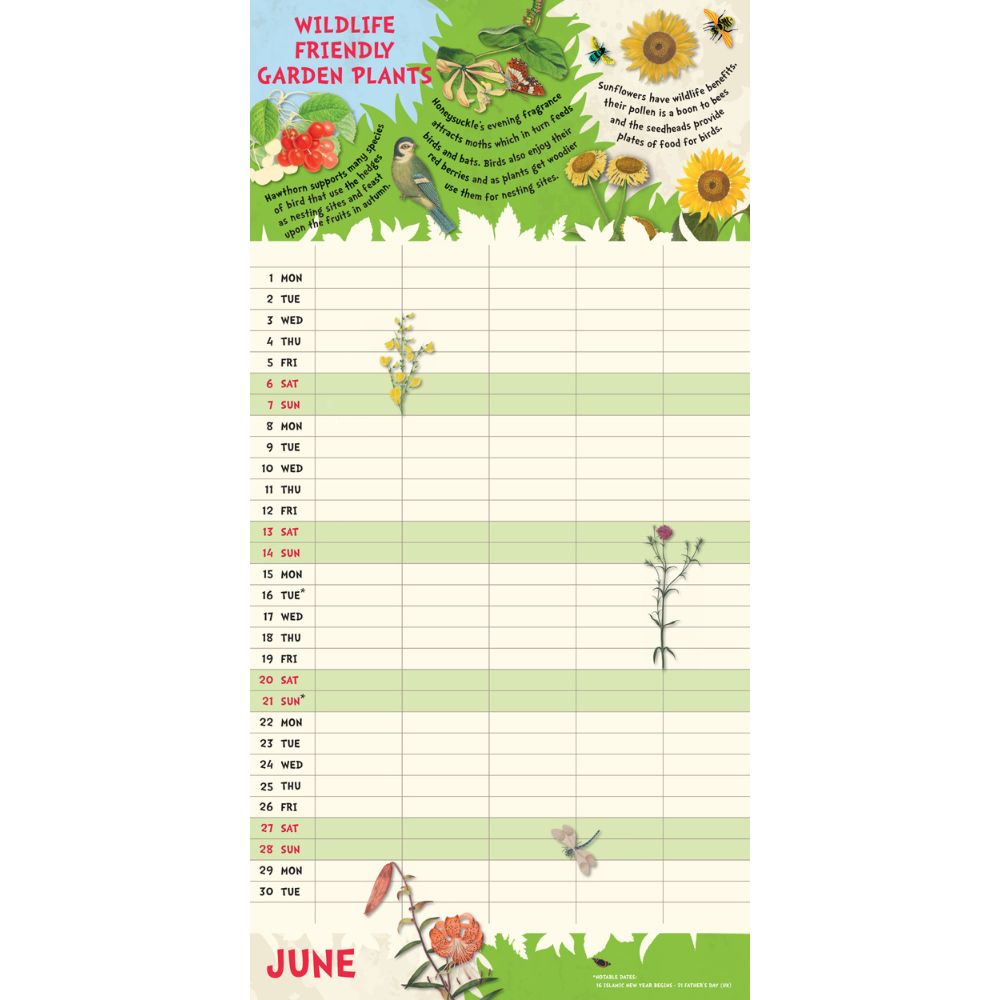 2026 Family Organiser Calendar (with Pocket And Stickers) Official Product