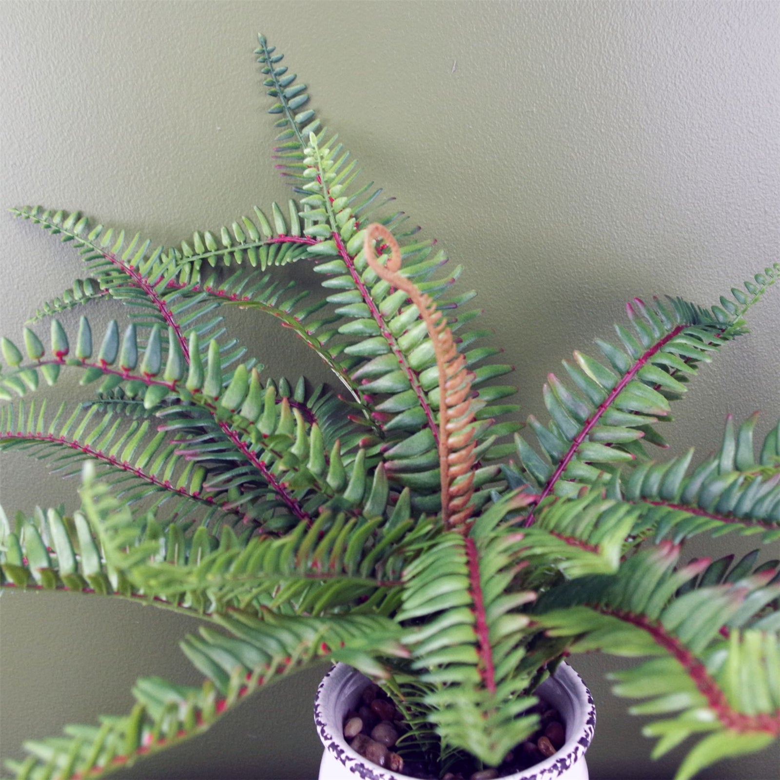 Artificial 40cm Bushy Fern Potted In Decorative Planter