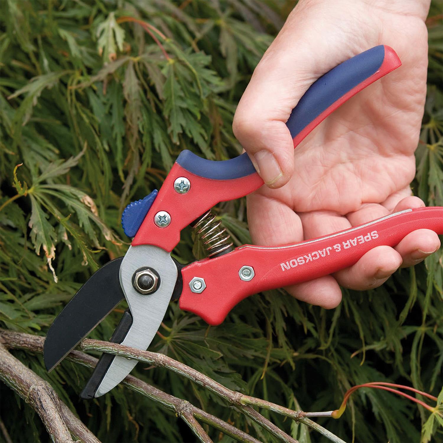 Anvil Secateurs, Ergonomic Design, Razorsharp Garden Tool