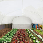 6x3x2m Polytunnel Greenhouse, Roll-up Sidewalls, White