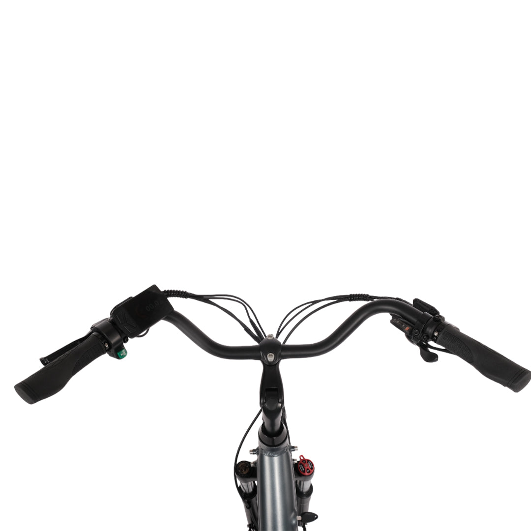 Aarhus Step 2025 - Urban E-Bike with 48V 14Ah Battery - Graphite Grey