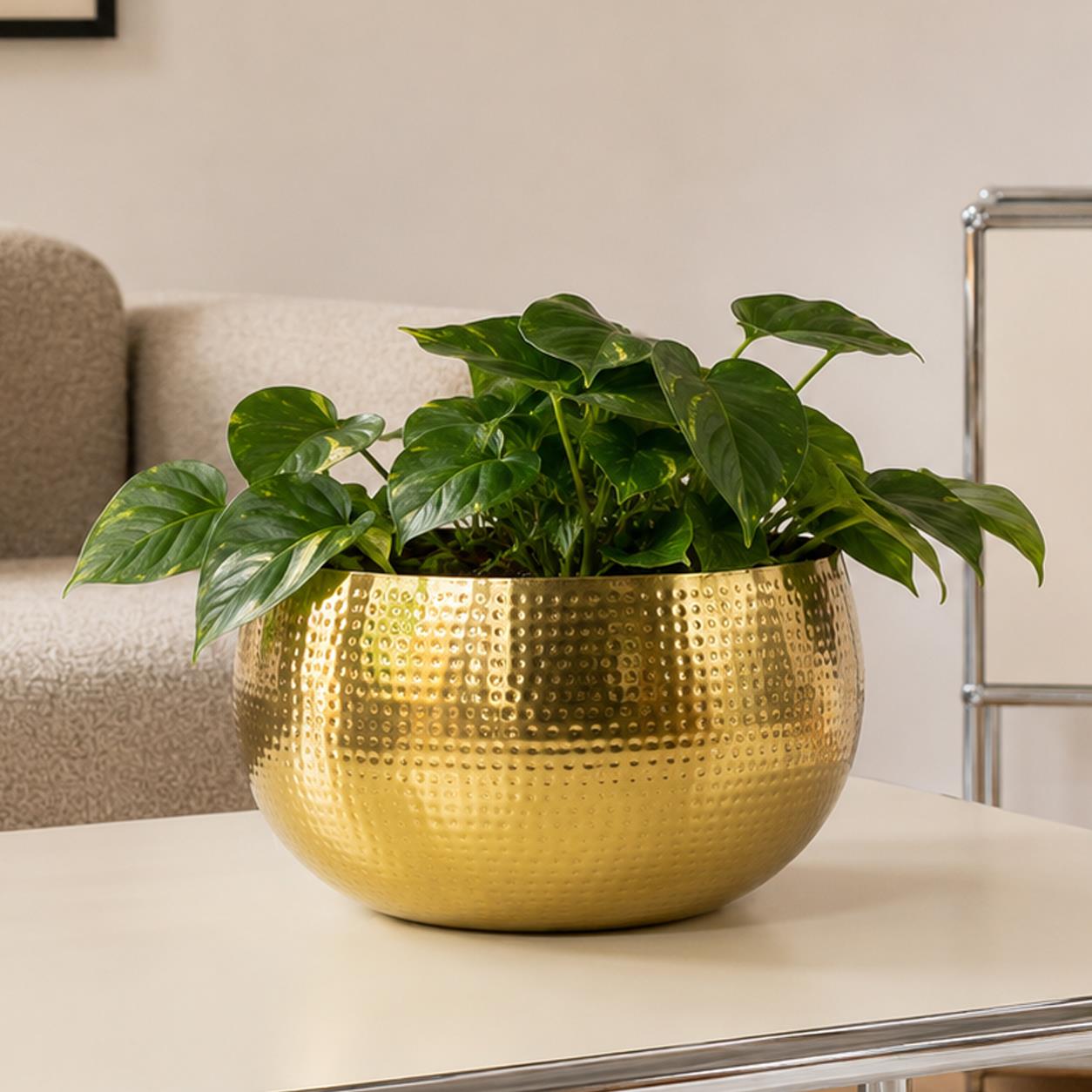 Xl Metal Bowl Planter 32 X 20cm Hammered Gold Colour - Straight Edge