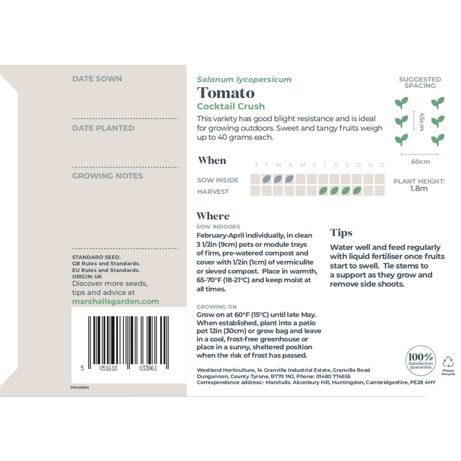 Cocktail Crush Tomato Seeds | Set of 10