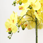 Artificial 60cm Orchid Yellow Black Ceramic Planter
