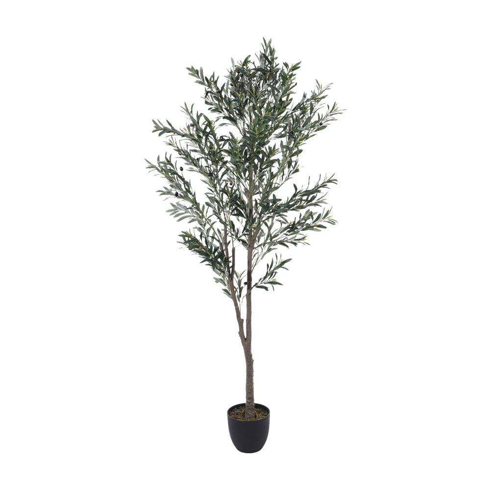120cm/210cm Artificial Olive Tree Decorative Plant In Planter | Large