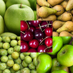 5x Mixed Large Fruit Tree Selection Pack Create Your Own Orchard 5 5-6ft Tall 2-3yr Trees Supplied Bare Rooted