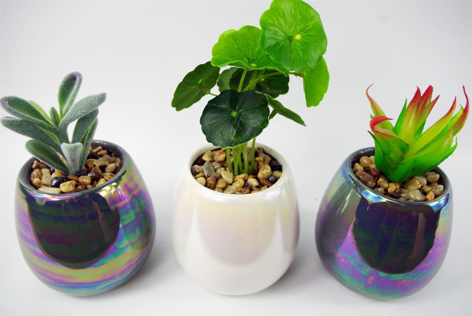 15cm Set Of Three Grey White Mix Ceramic Mini Planters With Artificial Succulent Plants