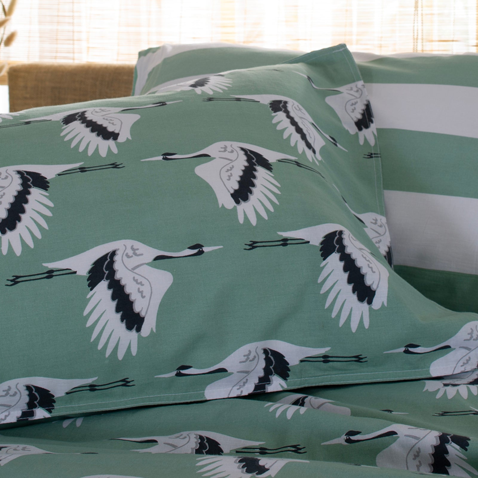 Sedge Printed Soft Cotton Duvet Cover Set With Piped Edges | King | Green