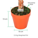 Artificial Green Handcrafted Ficus Topiary Tree With Pot, 125 Cm (4 Ft)