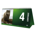 Perpetual Desk Calendar Official Product