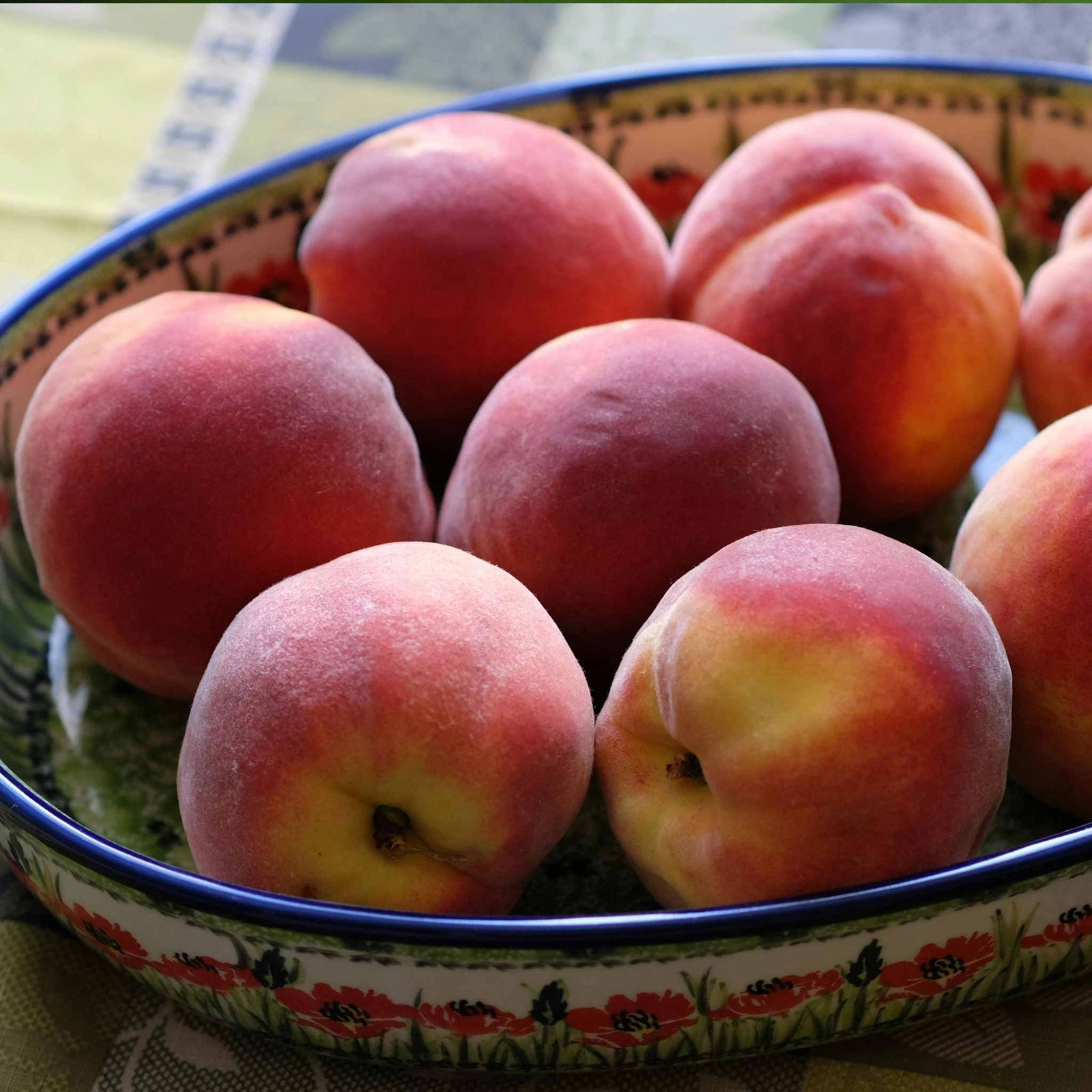 Peach 'sunset' - Patio Mini Stem Compact Peach | 1 x Tree