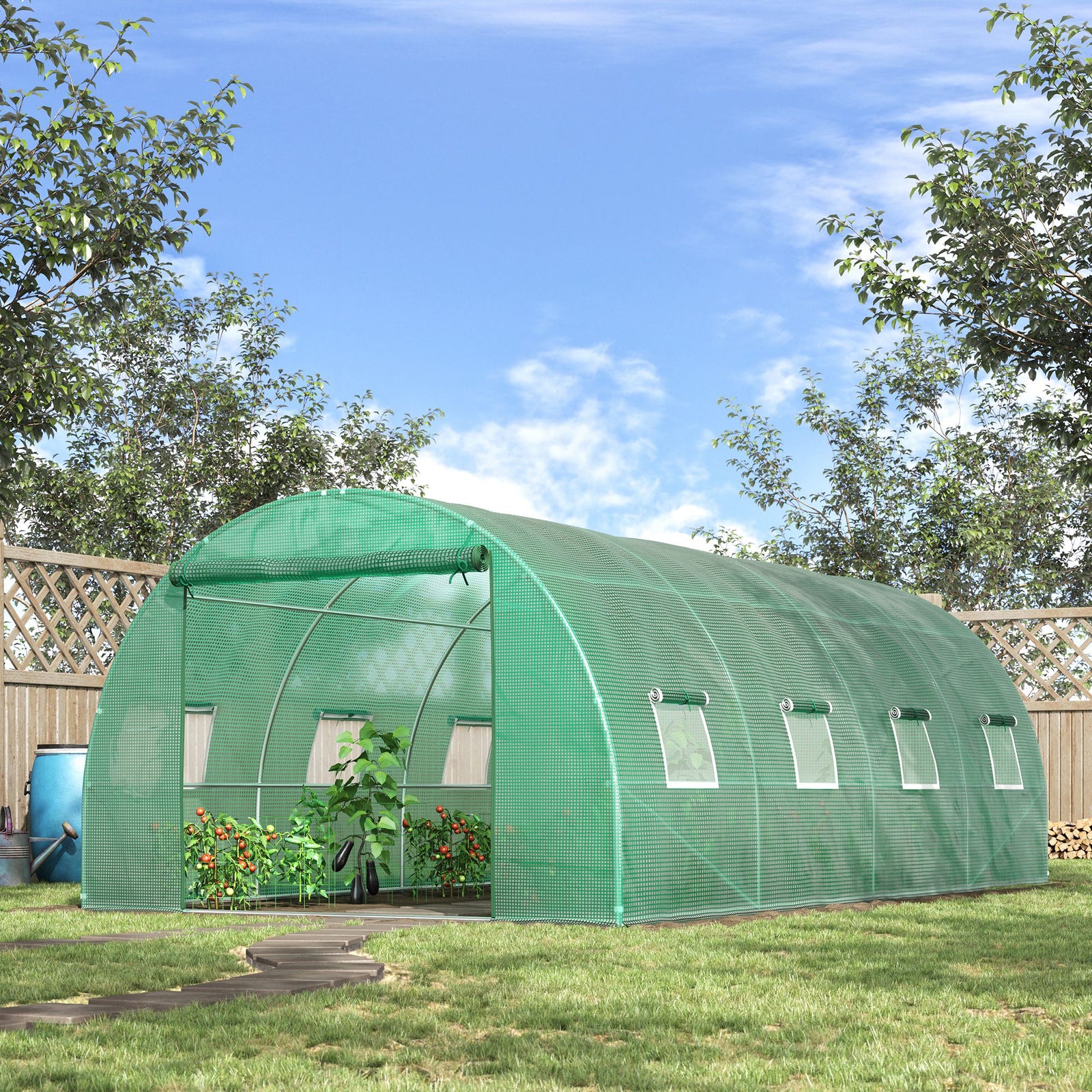 Walk-in  Polytunnel Greenhouse 6x3m