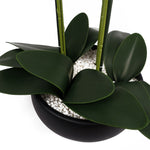 Artificial 60cm Orchid Yellow Black Ceramic Planter