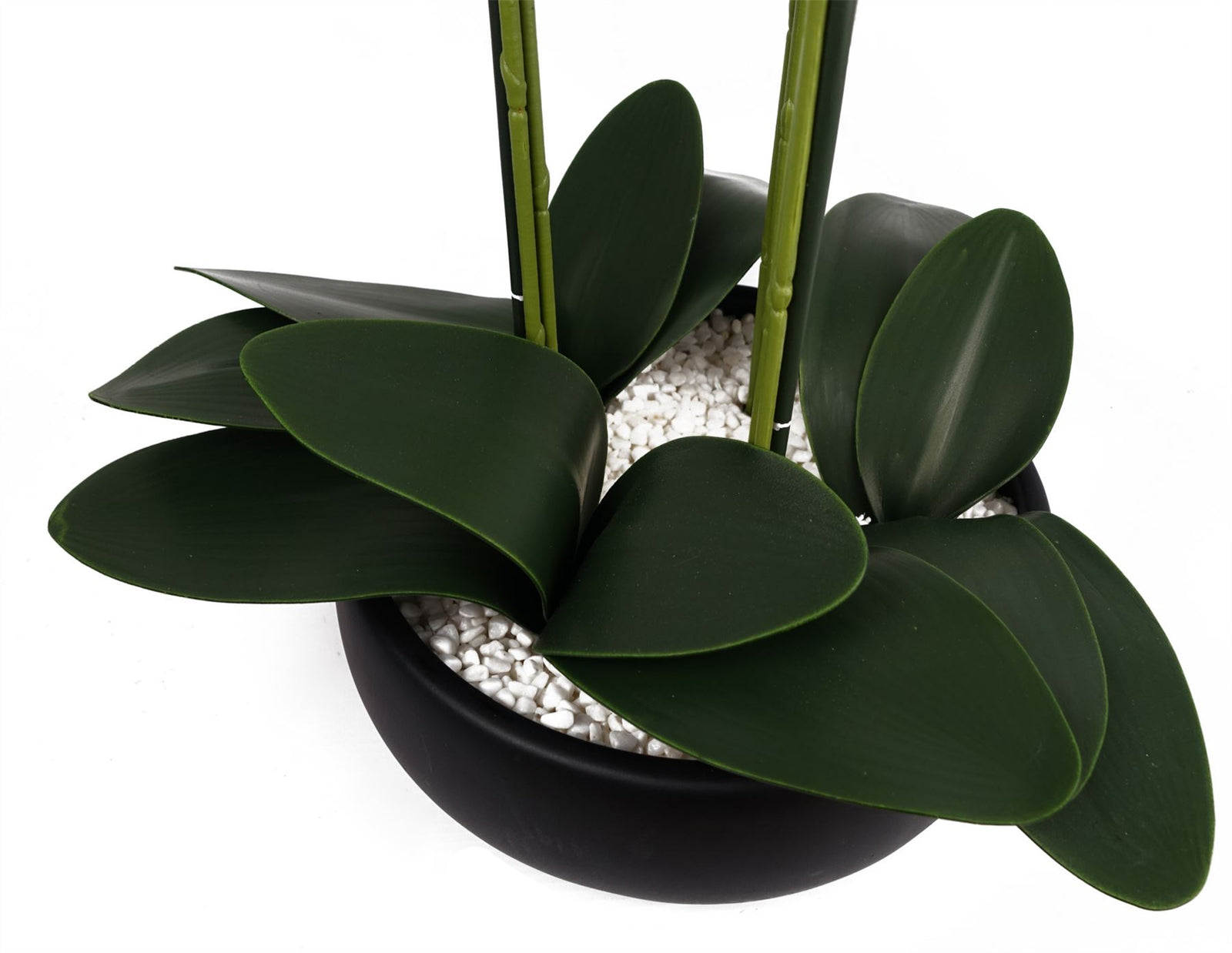60cm Orchid Artificial White Black Ceramic Planter
