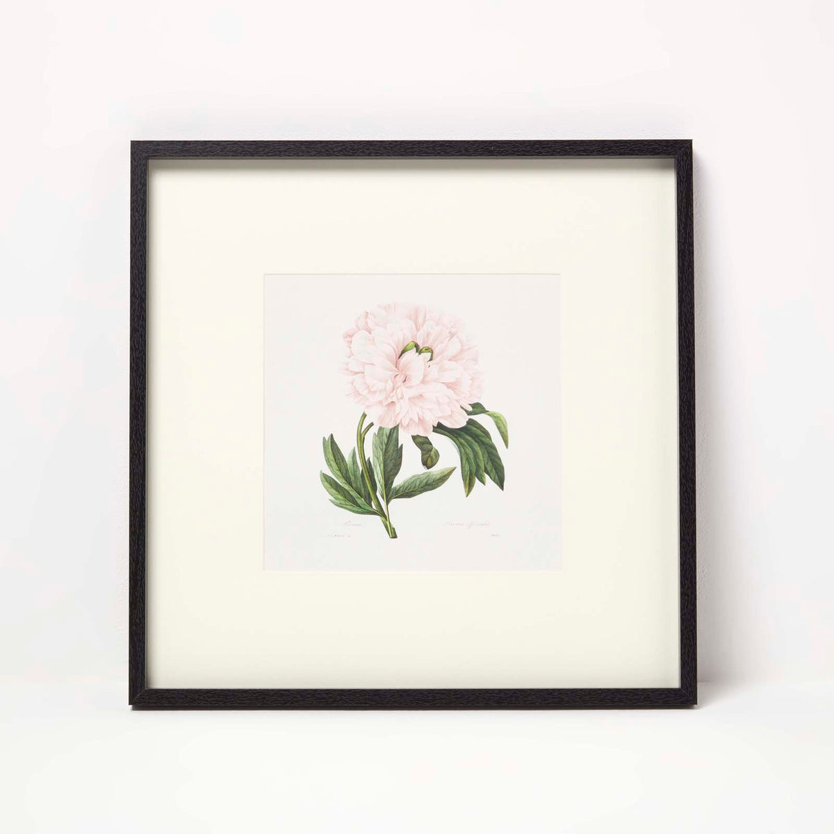 HOMESCAPES Wall Decoration Set Of 3 Frames With Picture, Peonies