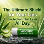Lip Therapy With Petroleum Jelly Balm Sticks, Aloe Vera 4g | Set of 8
