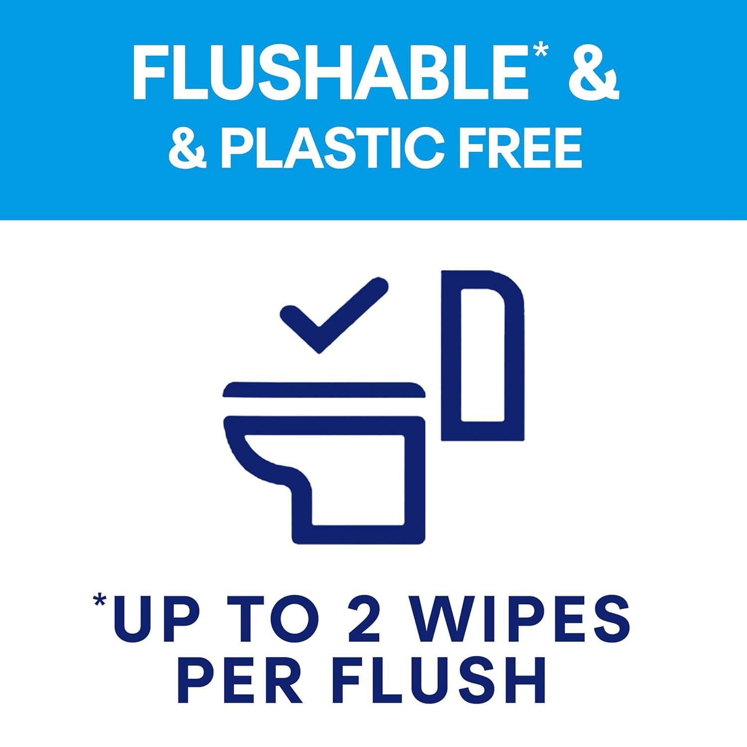 Washlets Confident Clean Biodegradable & Flushable Toilet Wipes, 2Pk
