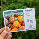 Bumble Bee Mix Tomato (striped Cherry) Seeds | 10 Seeds
