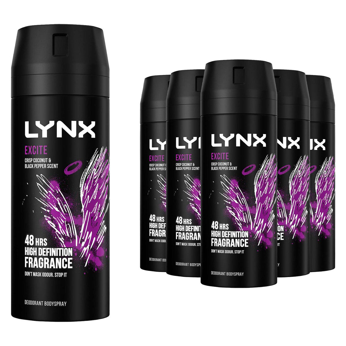 Excite Body Spray Deodorant 48hrs High Definition Fragrance 150ml | Set of 18
